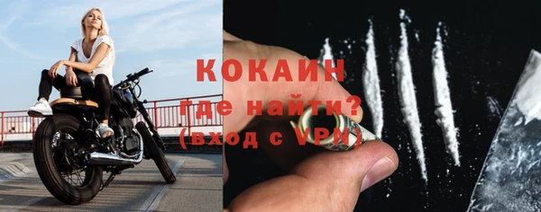 твердый Инта