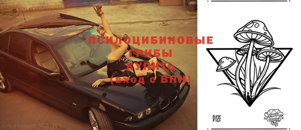 дурь Касимов