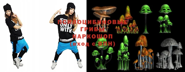 МДМА Инсар