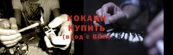 твердый Инта