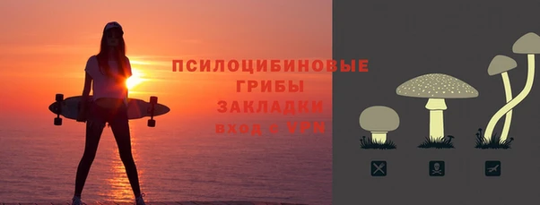 твердый Инта