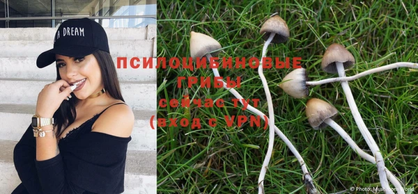 дурь Касимов