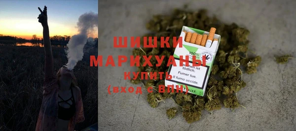 твердый Инта