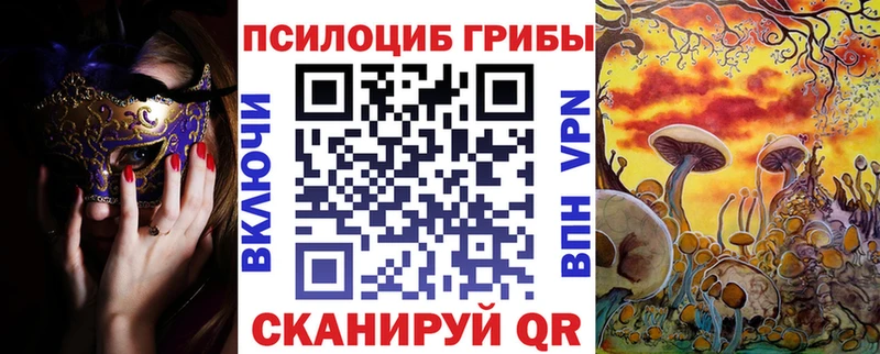 мега как зайти  Кирс  Псилоцибиновые грибы Magic Shrooms 